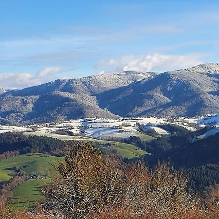 Ferienwohnung Birkental Ebringen Exteriör bild