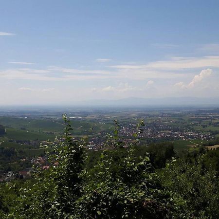 Ferienwohnung Birkental Ebringen Exteriör bild