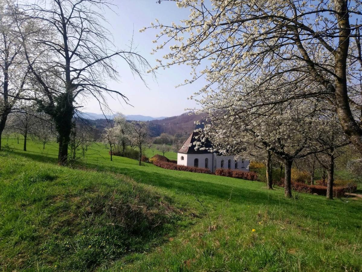 Ferienwohnung Birkental Ebringen Exteriör bild