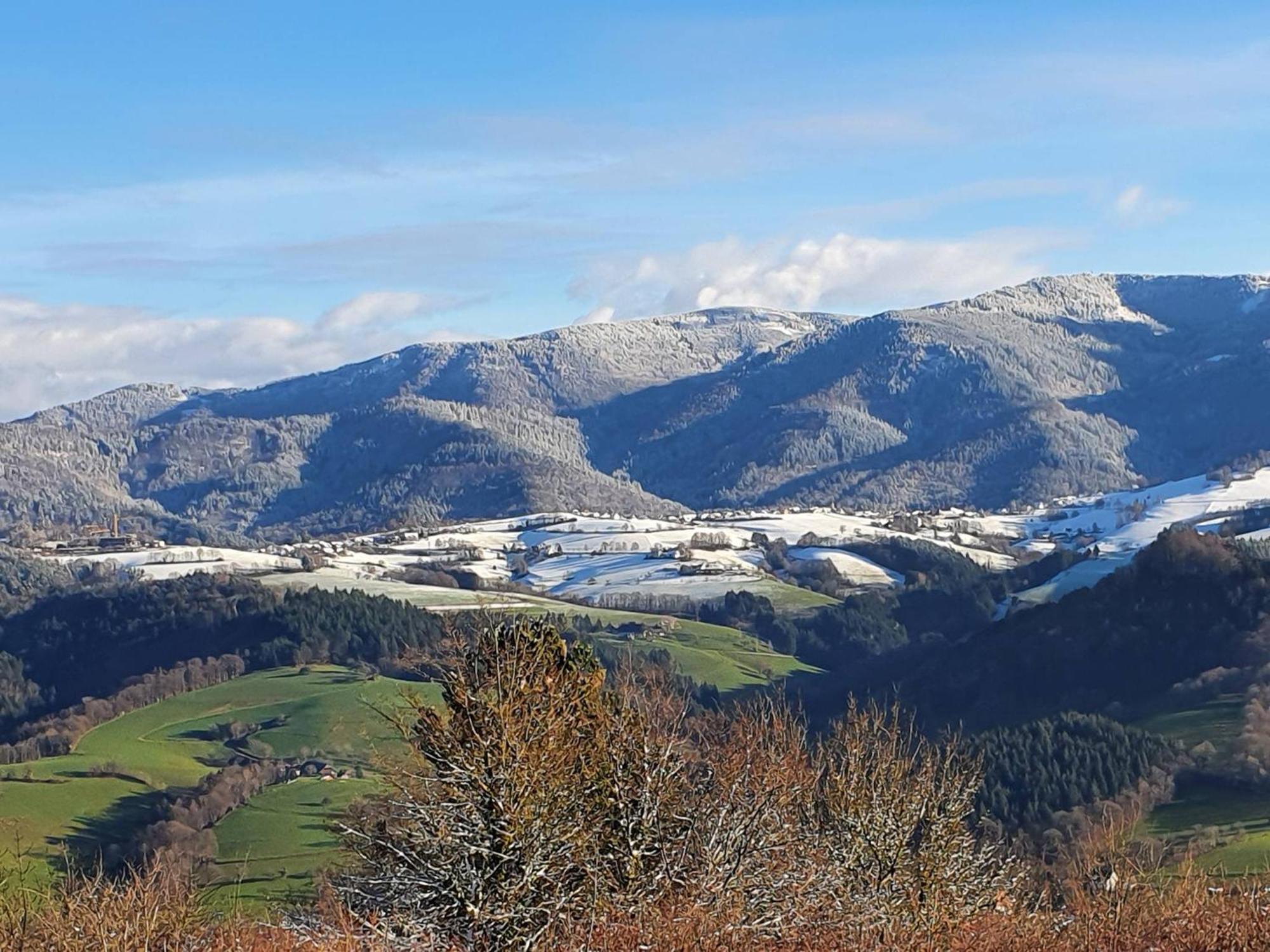 Ferienwohnung Birkental Ebringen Exteriör bild
