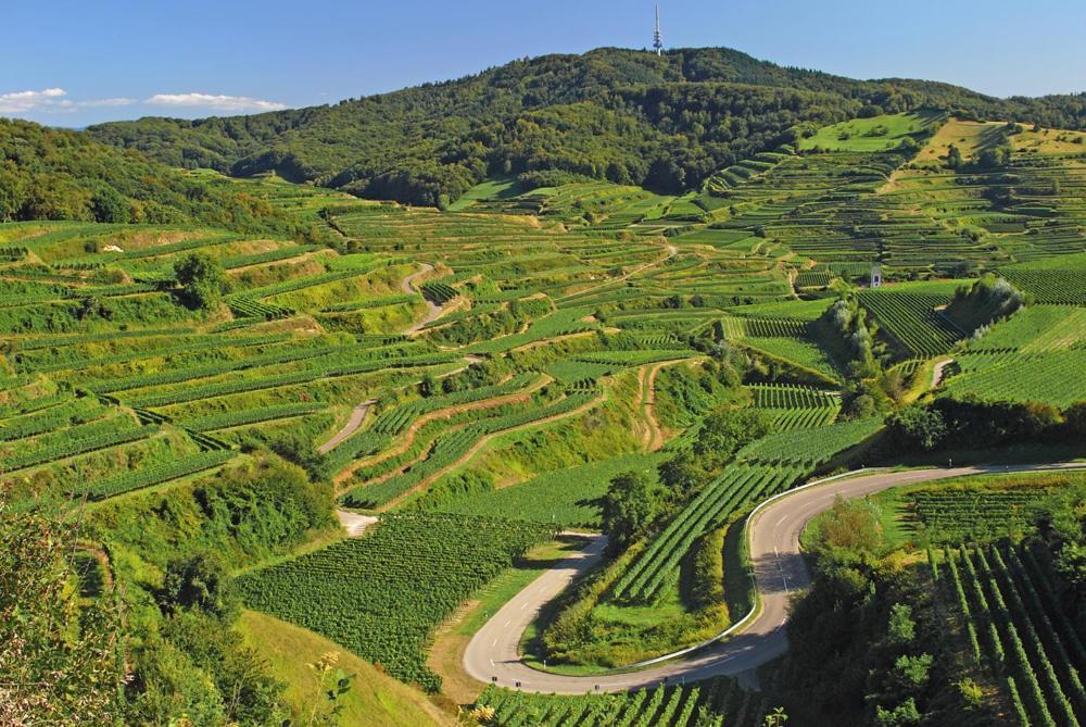 Ferienwohnung Birkental Ebringen Exteriör bild