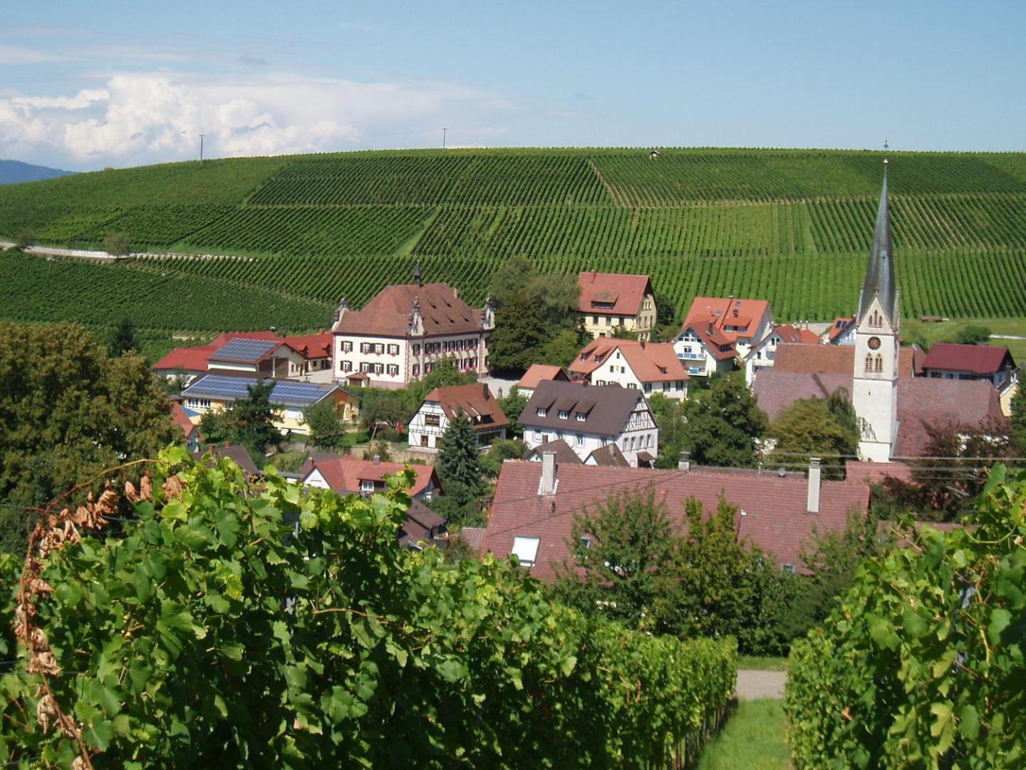 Ferienwohnung Birkental Ebringen Exteriör bild